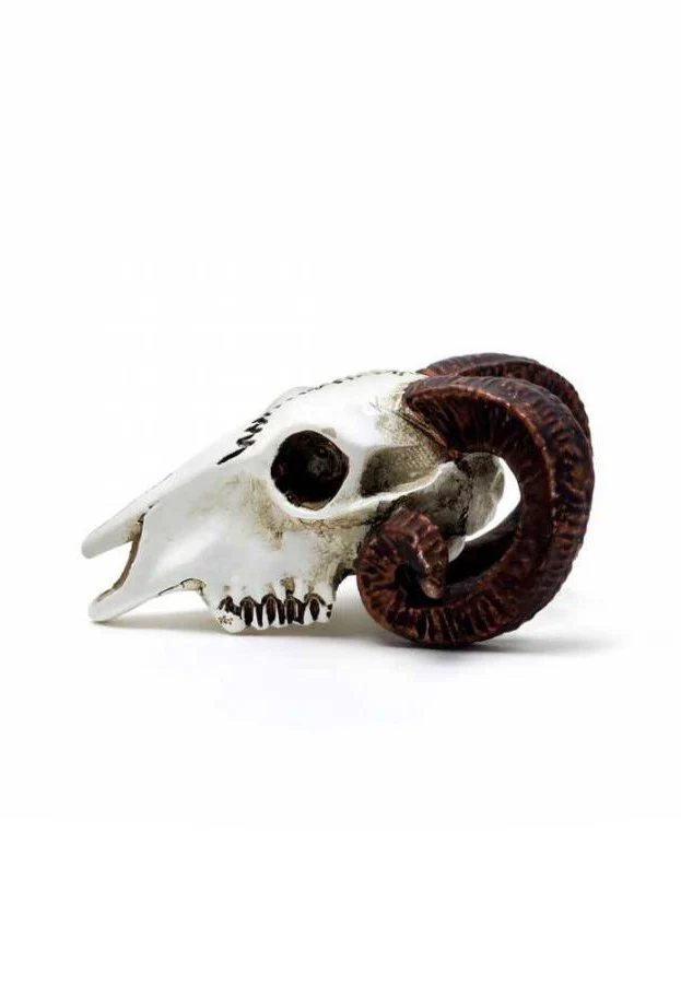 Rams Skull Miniature - Statue - Image 3