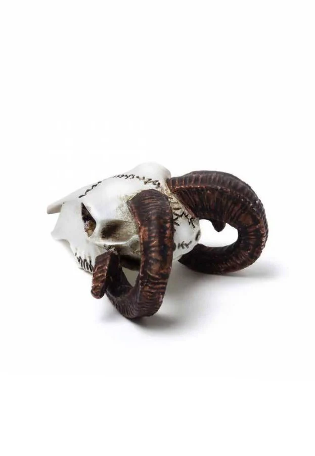 Rams Skull Miniature - Statue - Image 4
