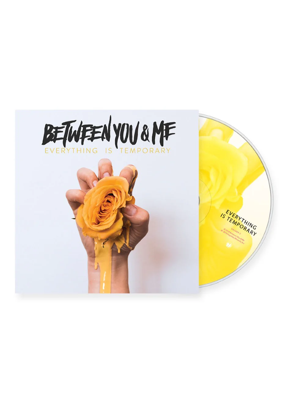 Everything Is Temporary - CD - Image 2