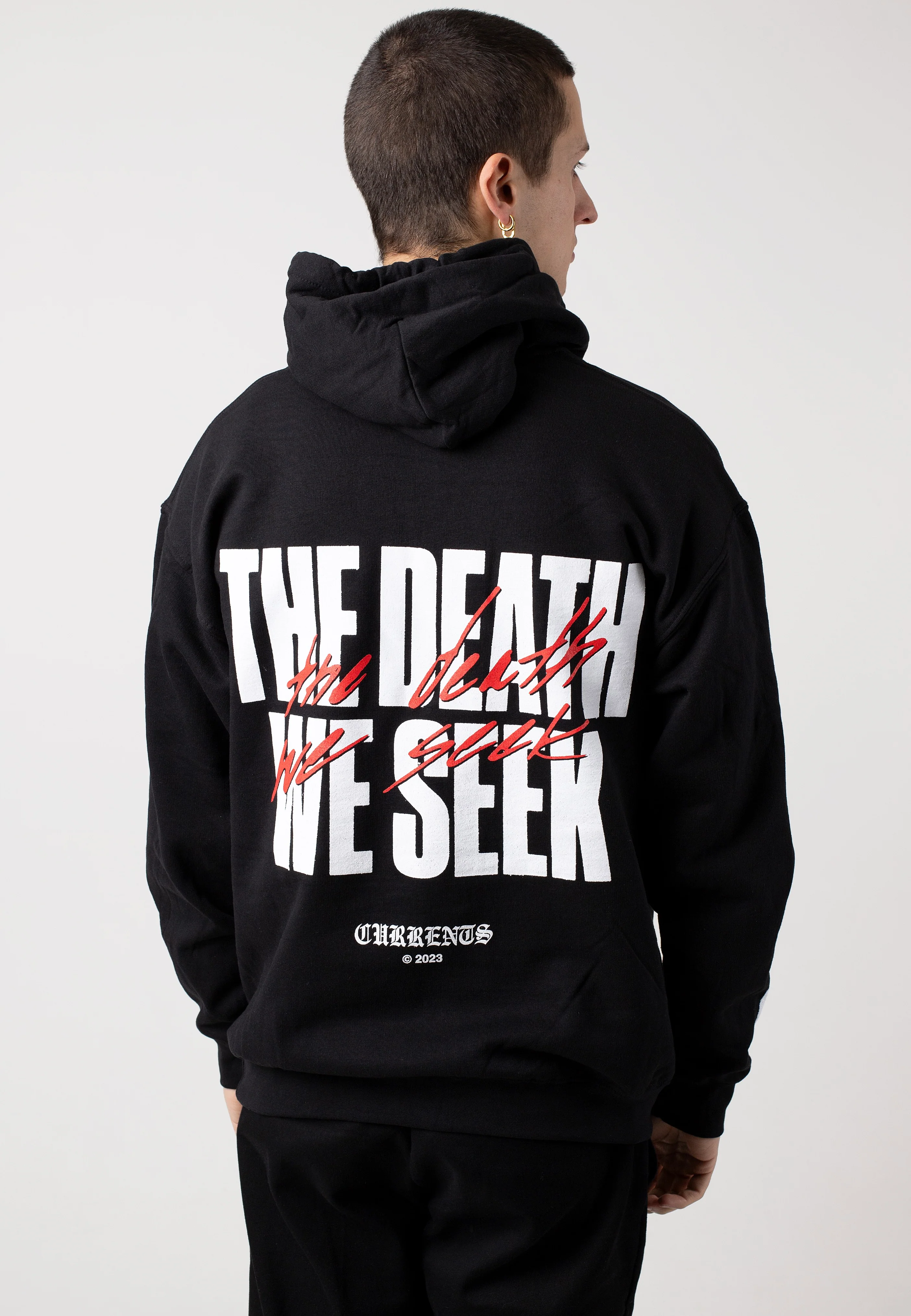 TDWS Big Text - Hoodie - Image 4
