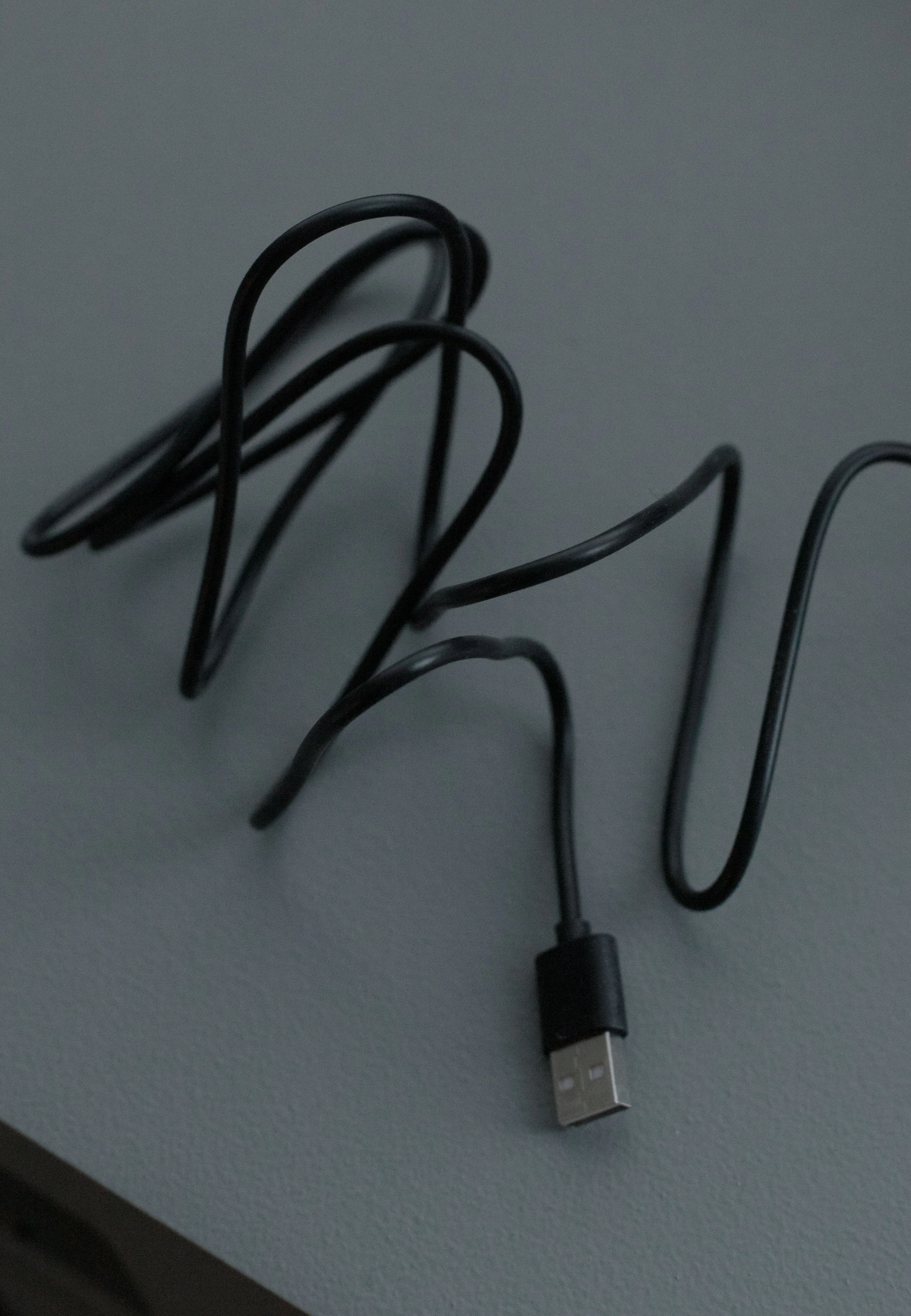 Pump It Bunny - Lamp - Image 6