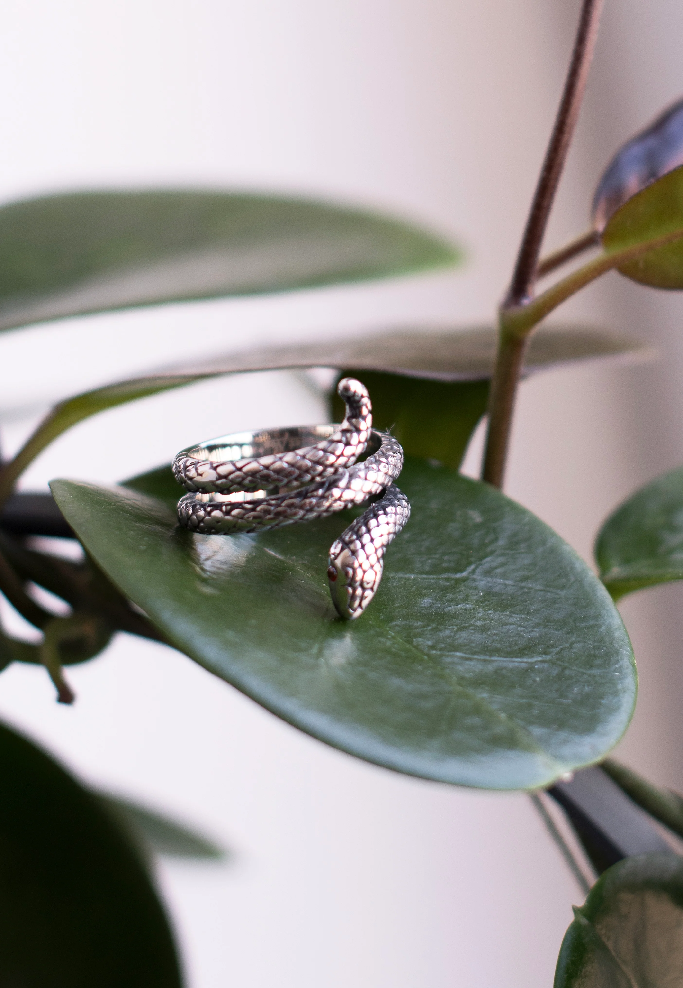 Große Schlange Silver - Ring - Image 2