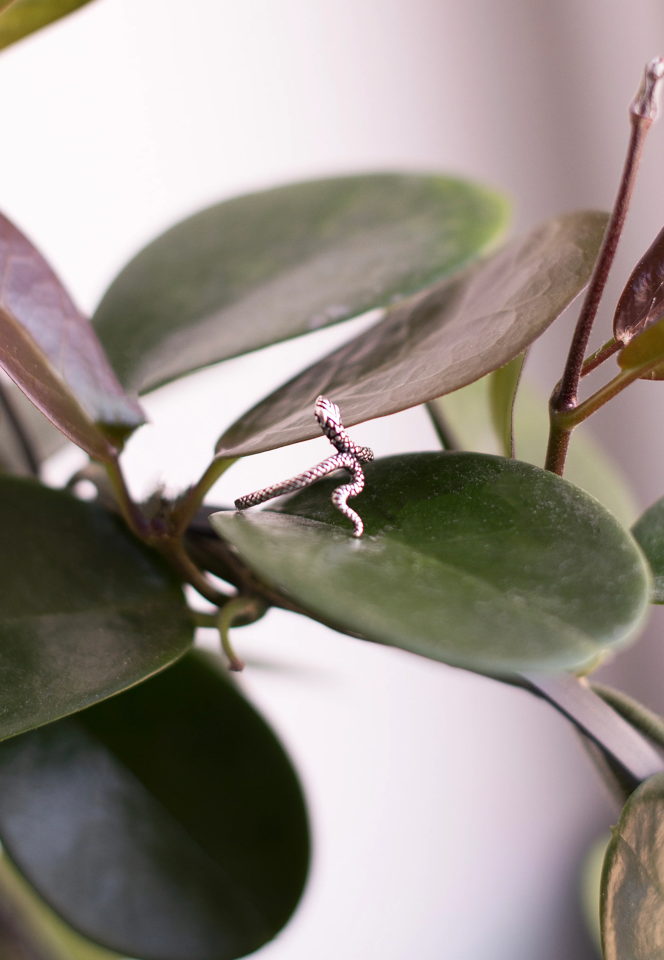 Snake II Silver - Ring - Image 3