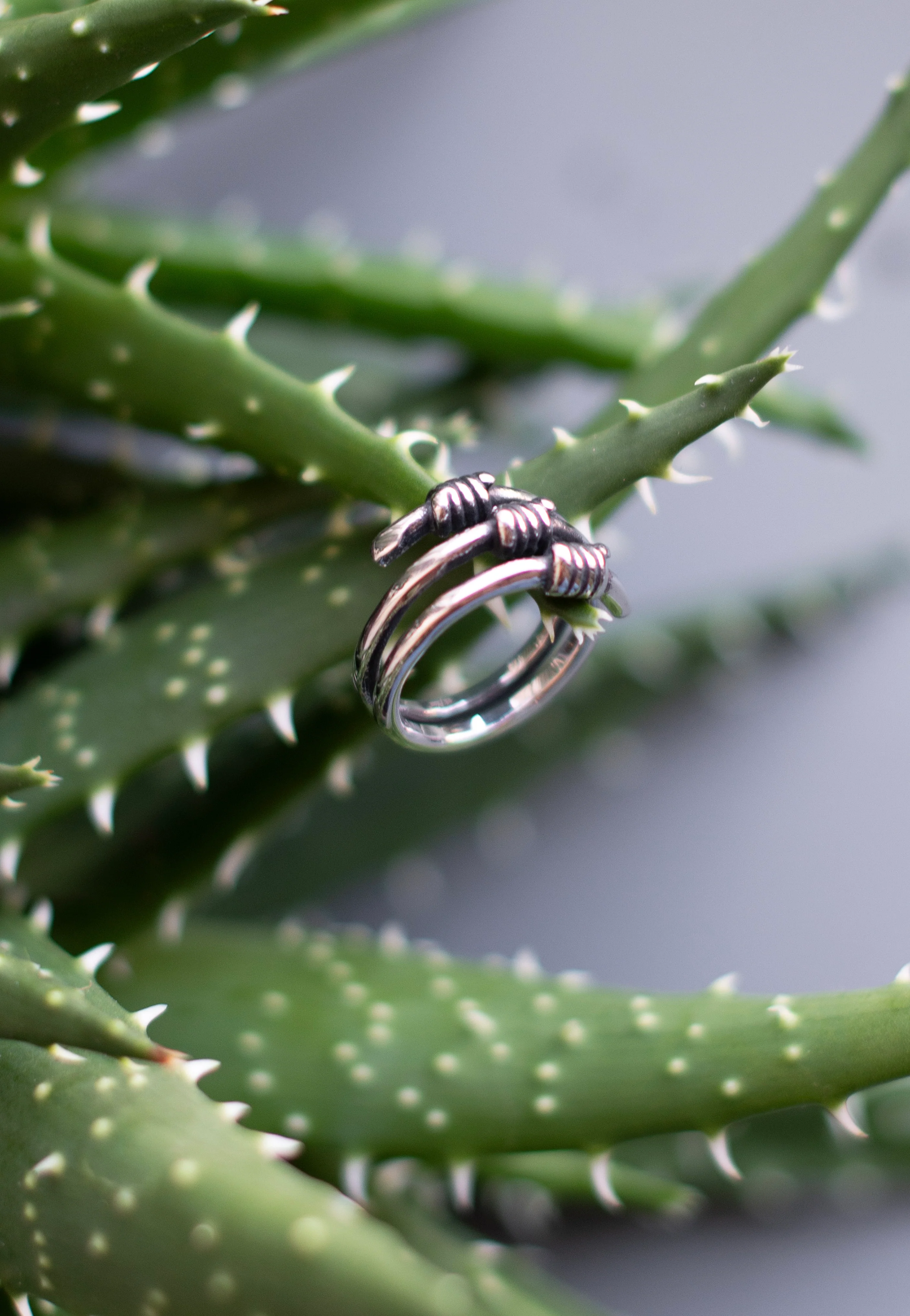 Stacheldraht Silver - Ring - Image 3