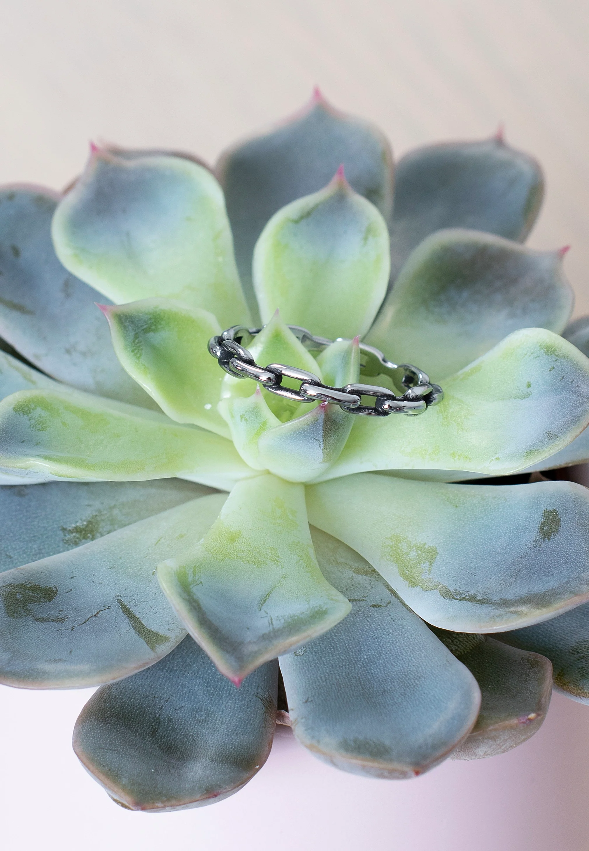 Tiny Chain Silver - Ring