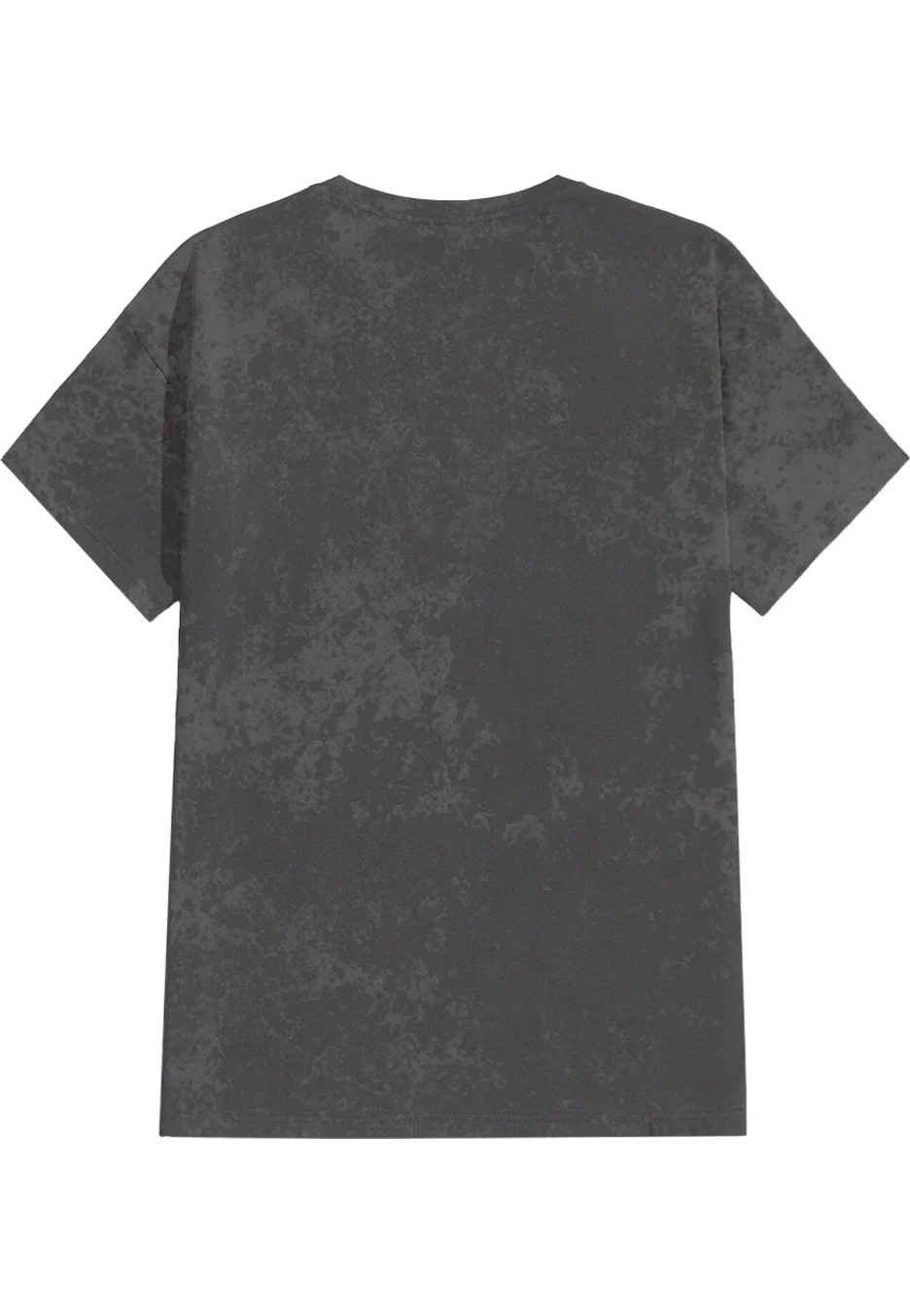 Band Photo Washed - T-Shirt - Image 2