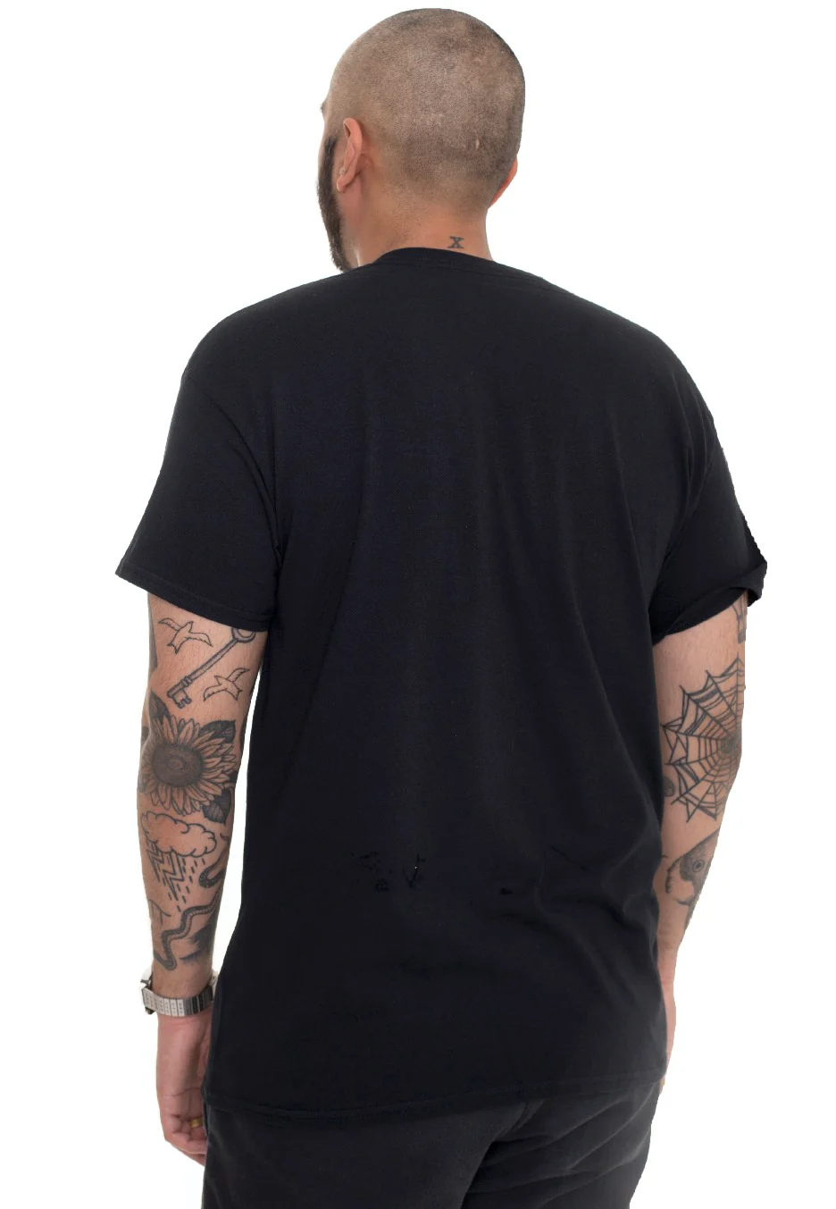 Spider Dead - T-Shirt - Image 4