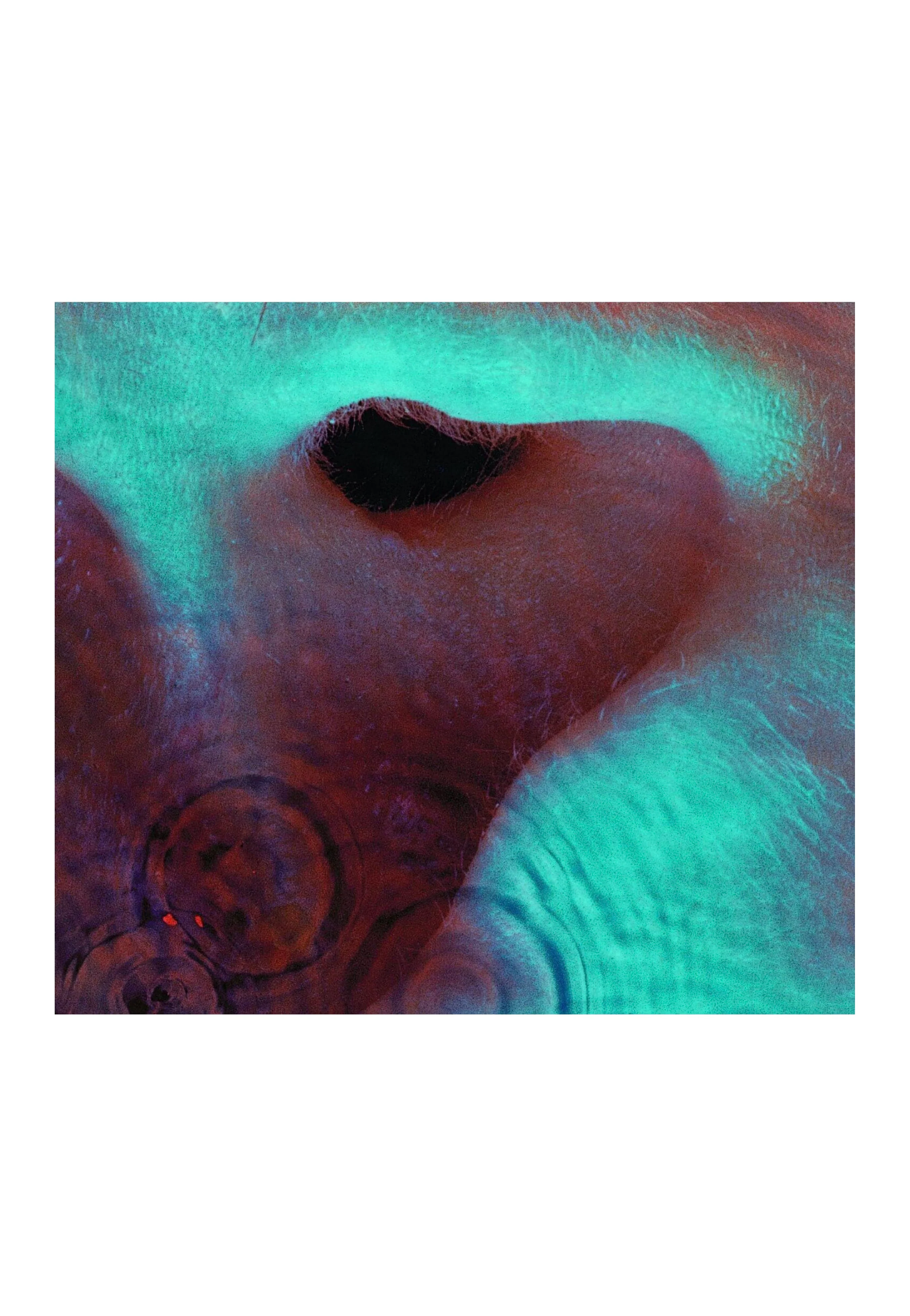 Meddle (Remastered) - Vinyl - Image 2