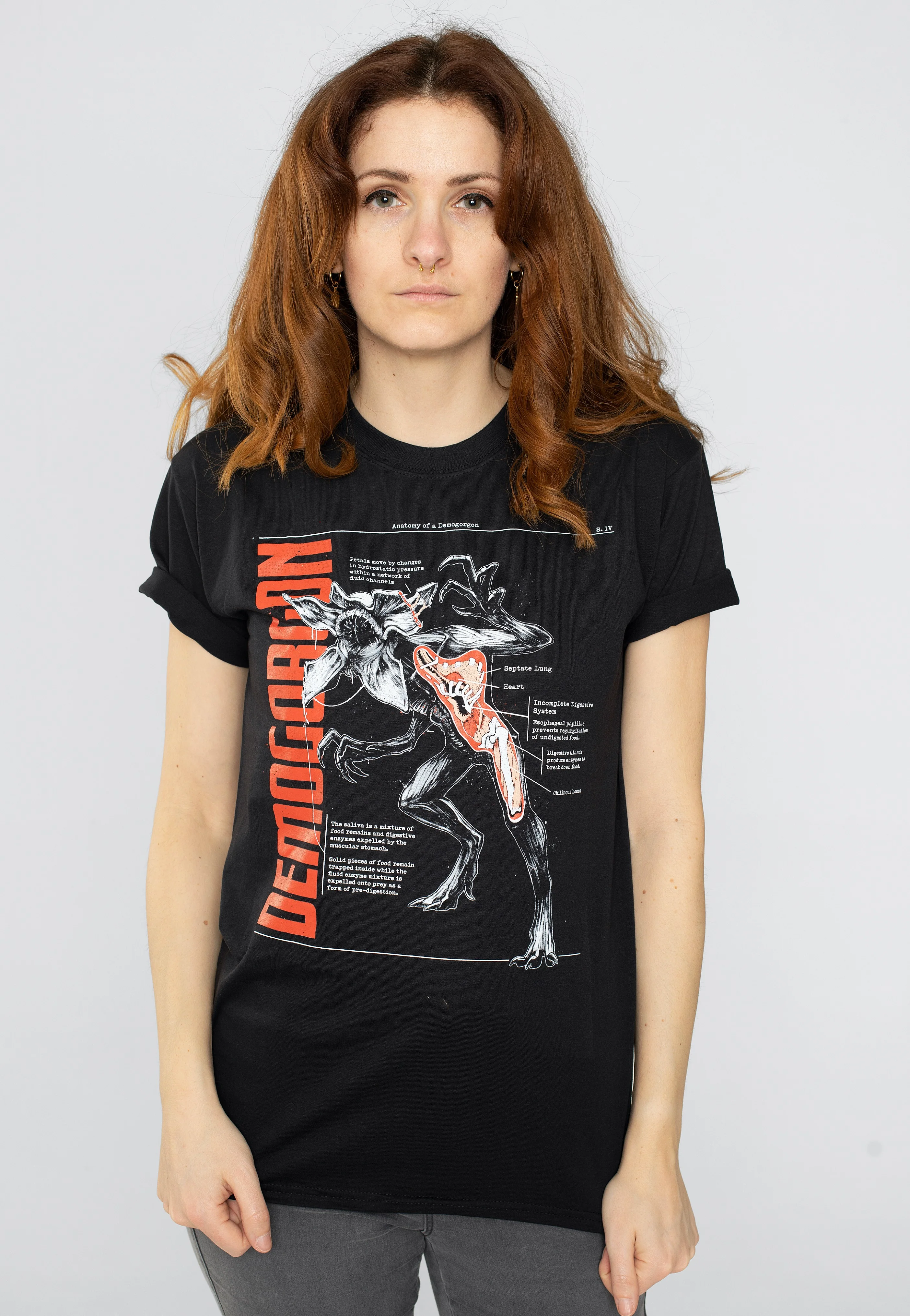 Anatomy Of A Demogorgon - T-Shirt - Image 6